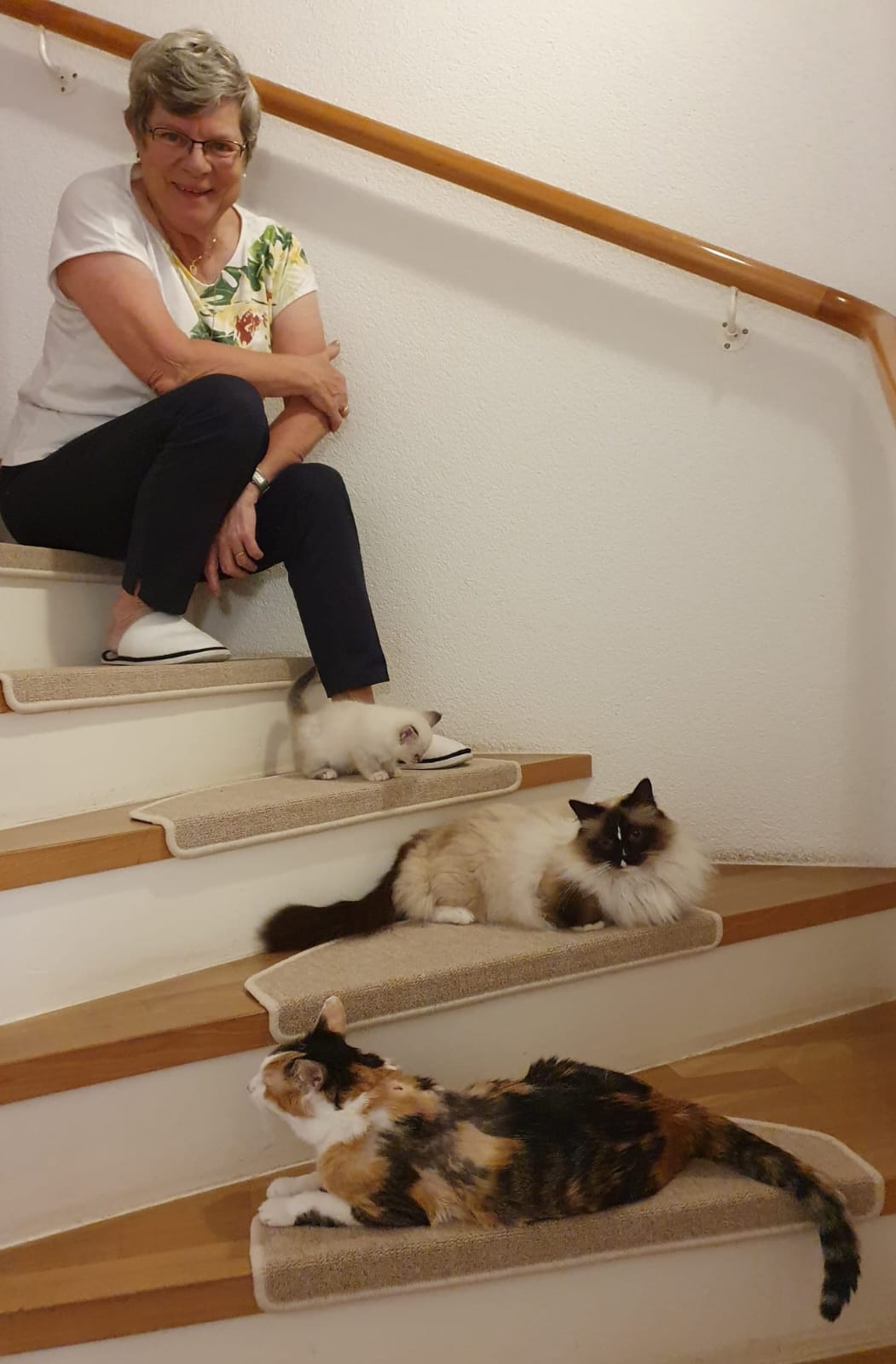 3aufTreppe