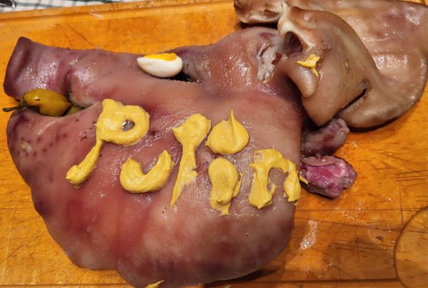 Putinsau